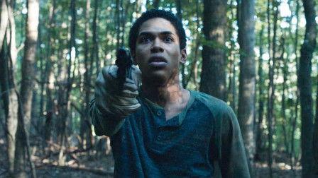 黑夜造访在线观看,揭秘神秘事件背后的惊悚真相