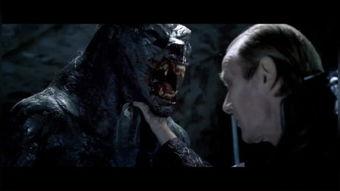 狼族在线观看,揭秘神秘狼族世界的惊险旅程